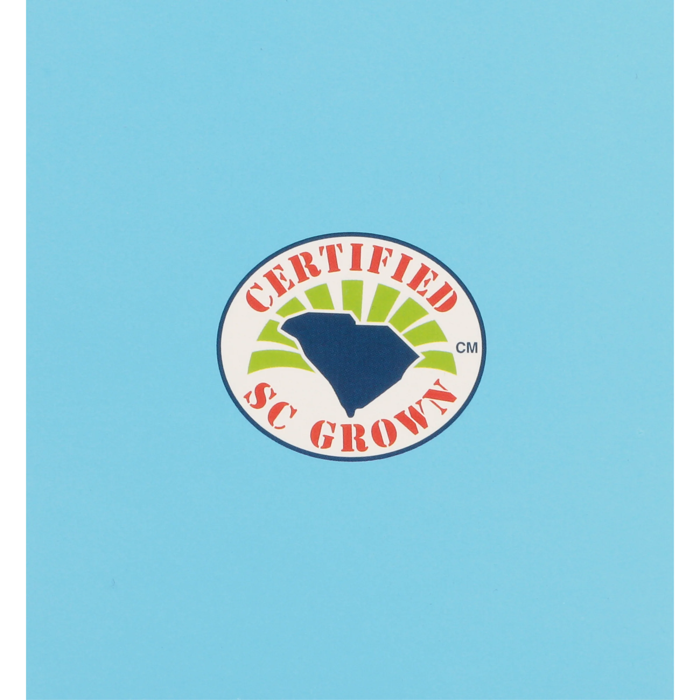 American Classic Pyramid - Image 7