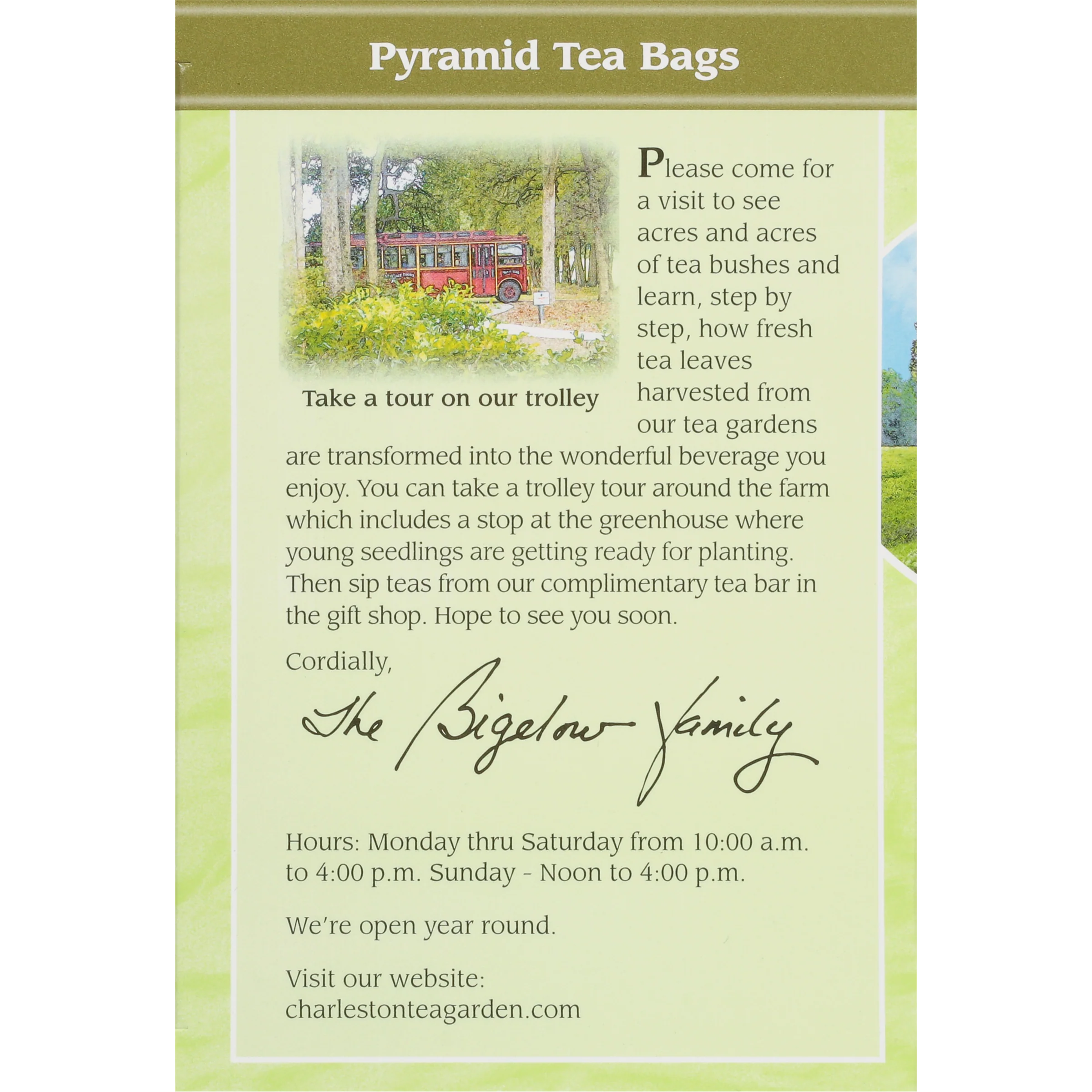 Green Tea Pyramid - Image 5