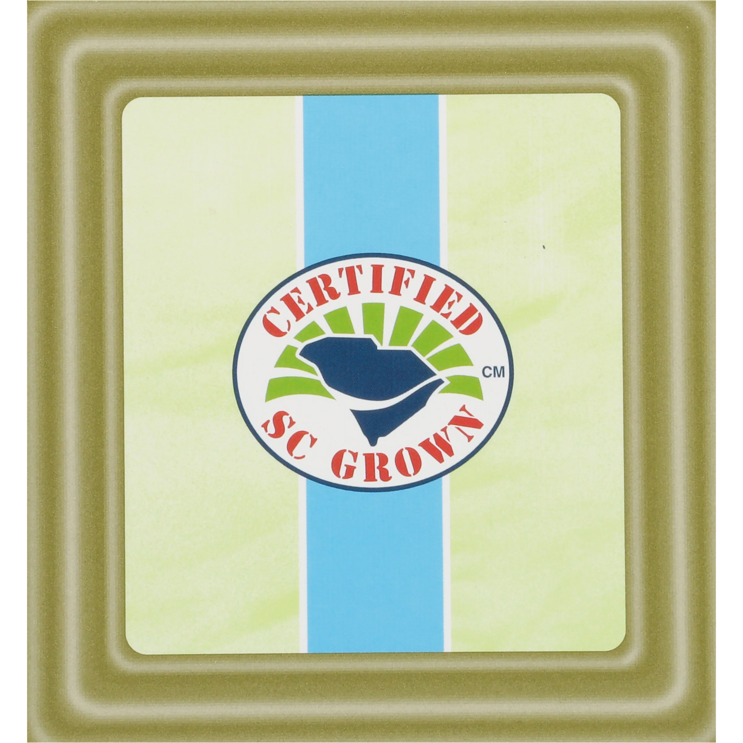 Green Tea Pyramid - Image 6