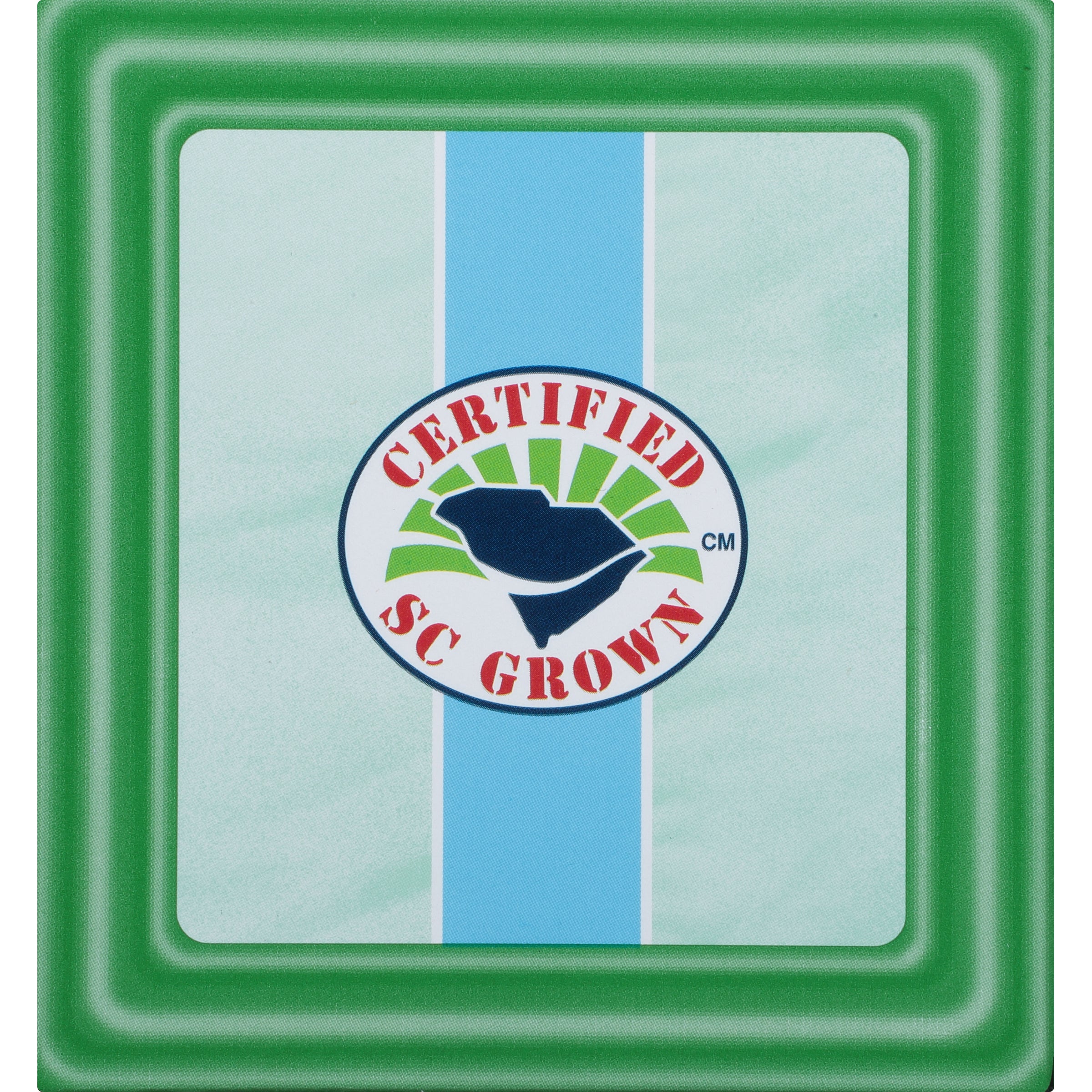 Green Tea with Mint Pyramid - Image 7