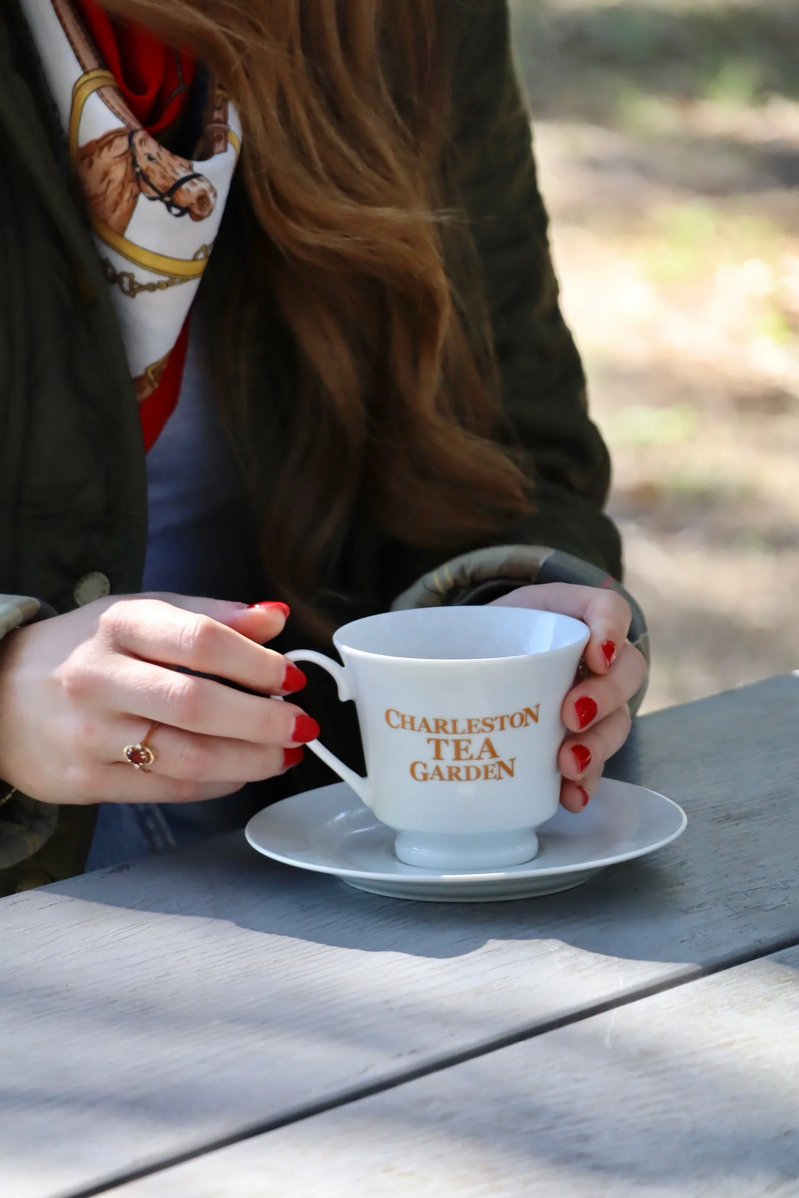 Charleston Tea Garden Cup and Saucer - Image 4