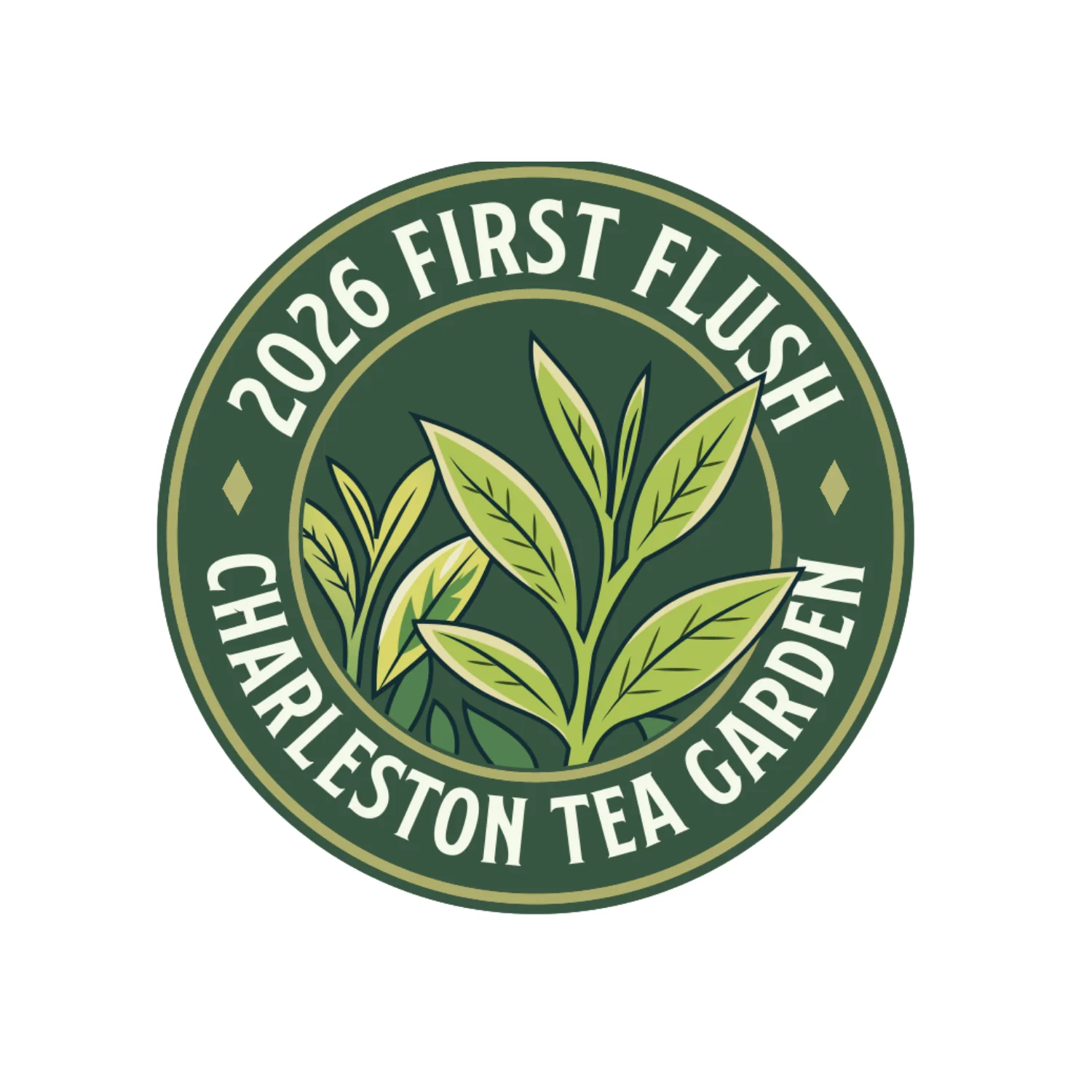First Flush Tea Shirt - Image 2