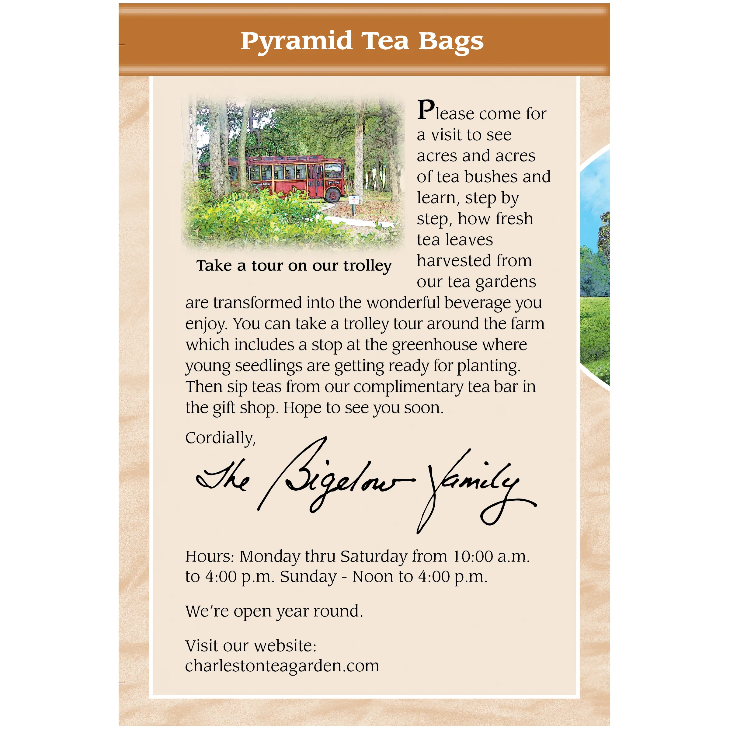 Cinnamon Spice Pyramid - Image 4