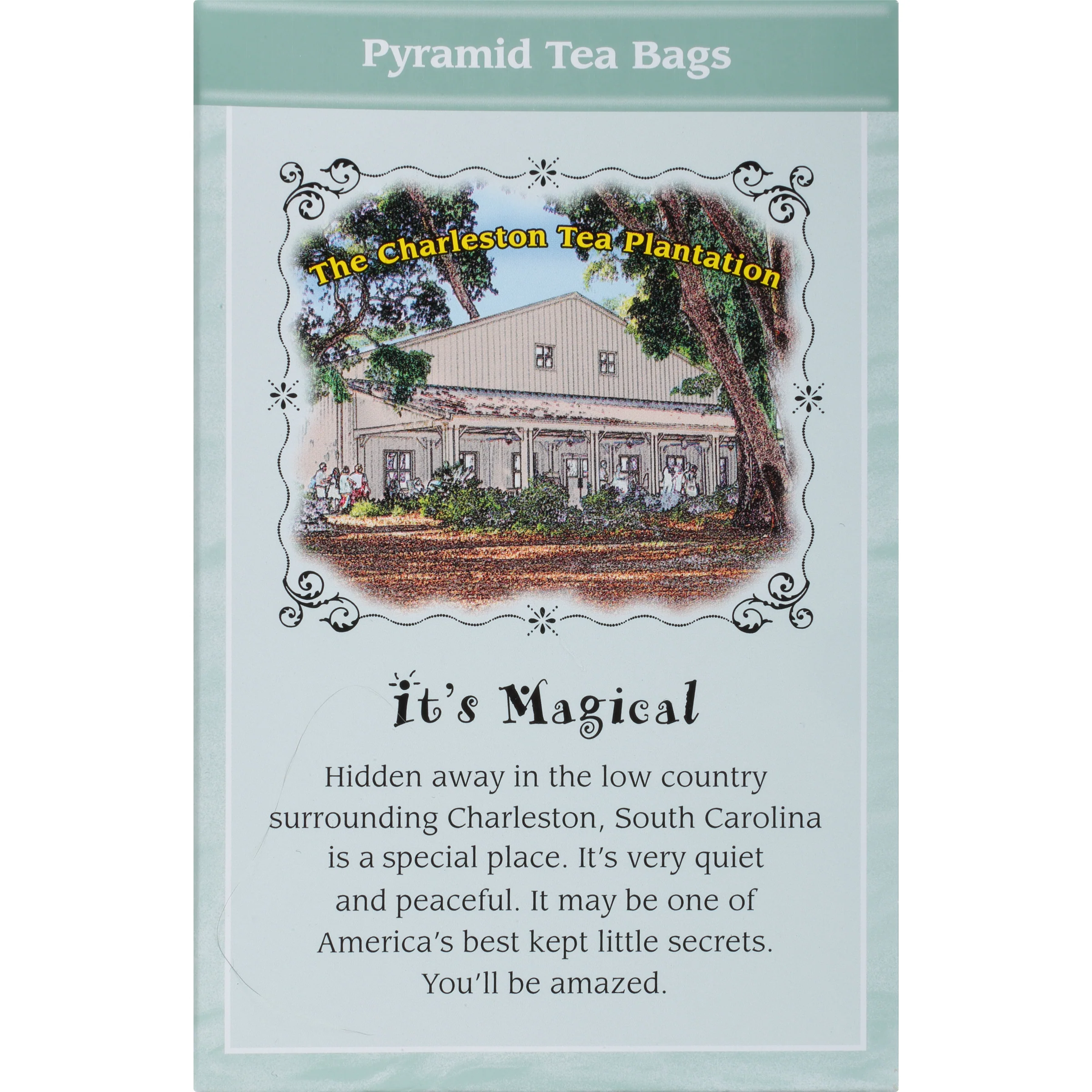 Carolina Mint Pyramid - Image 4