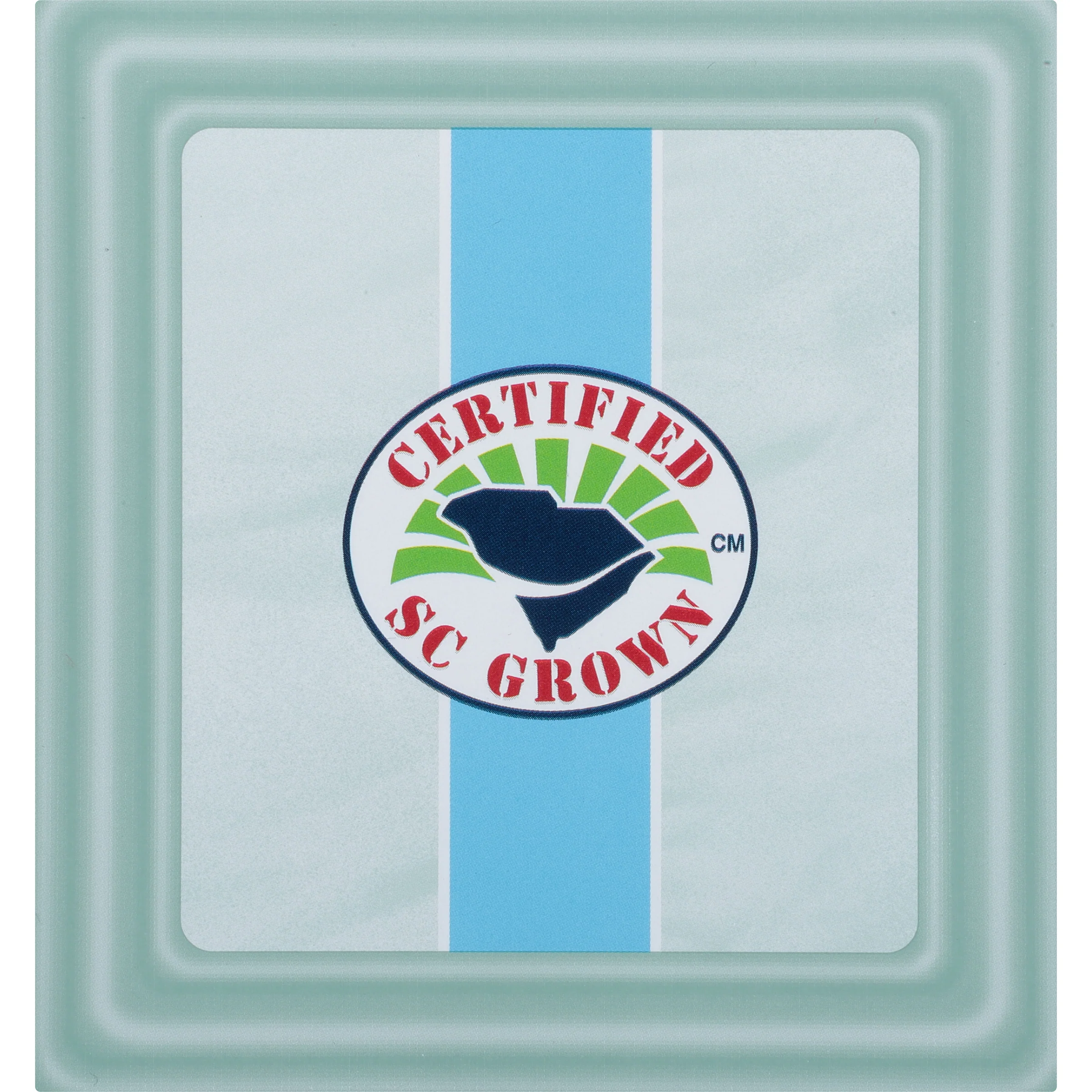 Carolina Mint Pyramid - Image 7